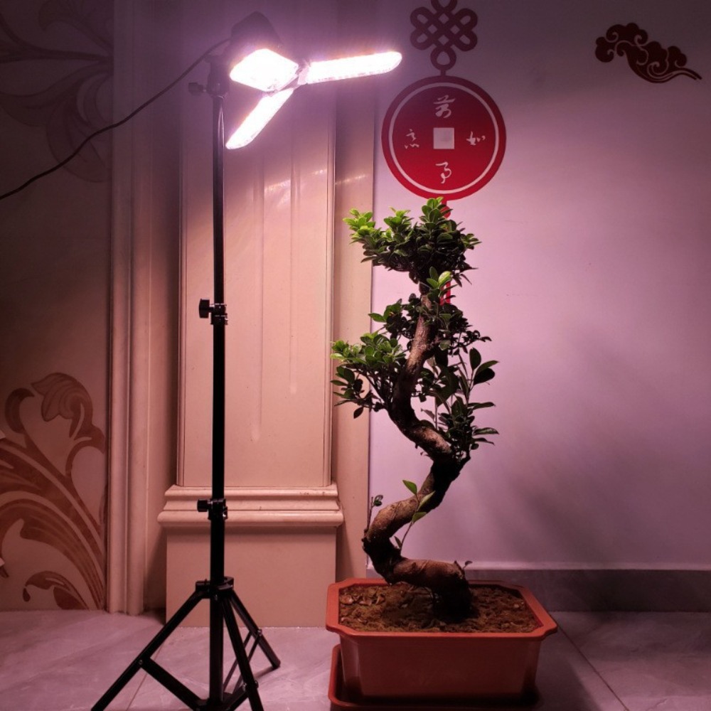 Light Bulb Stand 2M, E27 AC So - Photography Lighting Mount ulasan dan harga