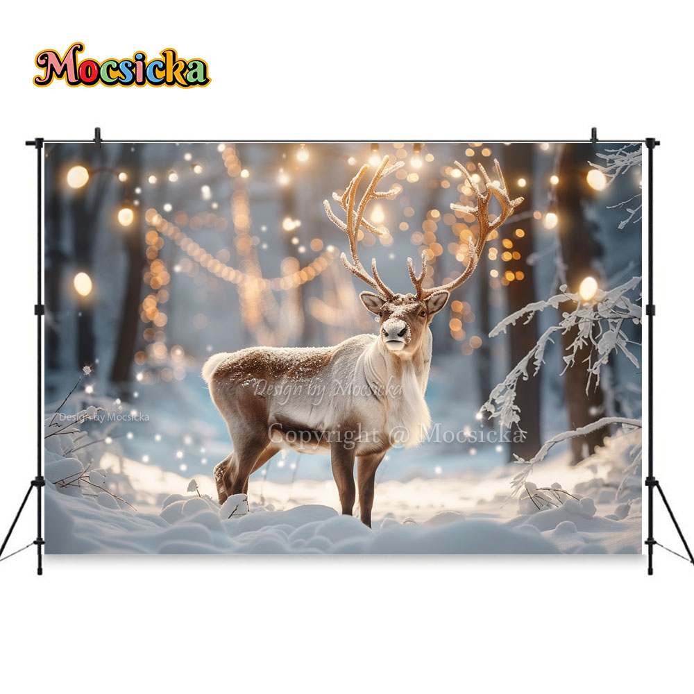 Winter Snow Scenes Photography - Photography Natural Lighting ulasan dan harga