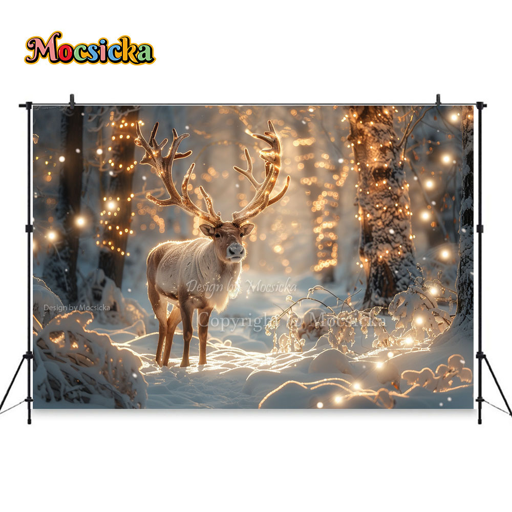 Winter Snow Scenes Photography - Photography Natural Lighting ulasan dan harga