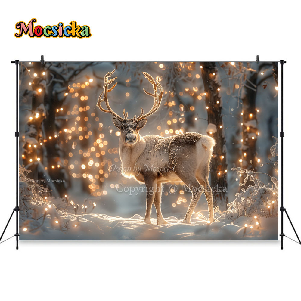 Winter Snow Scenes Photography - Photography Natural Lighting ulasan dan harga