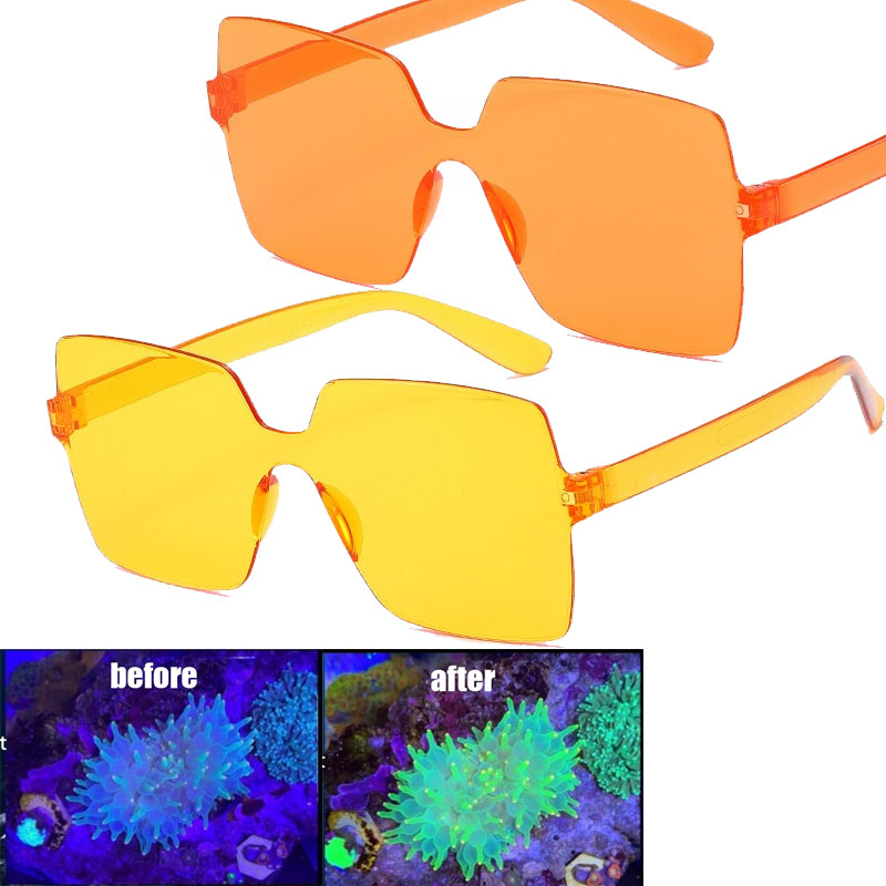 Coral Observation Glasses Cora - Photography Natural Lighting ulasan dan harga
