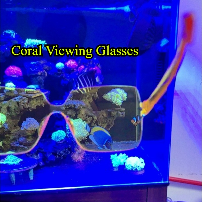 Coral Observation Glasses Cora - Photography Natural Lighting ulasan dan harga