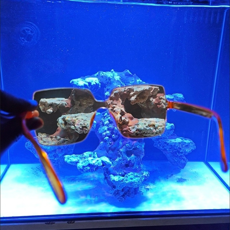Coral Observation Glasses Cora - Photography Natural Lighting ulasan dan harga